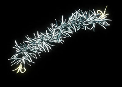 Oxidized Sterling Silver and 18k Gold Black Coral Bracelet